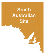 samap.gif (2520 bytes)